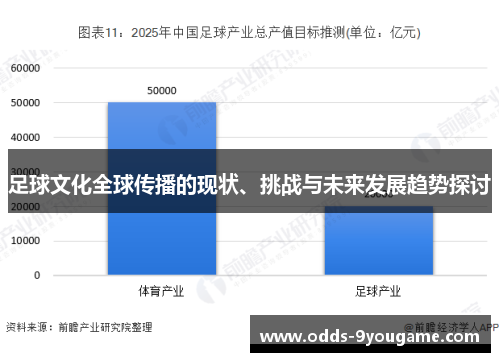 足球文化全球传播的现状、挑战与未来发展趋势探讨