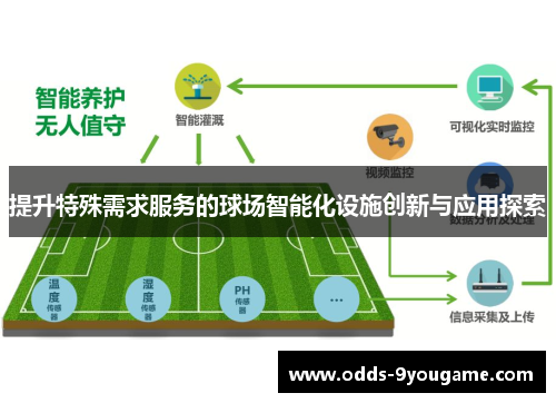 提升特殊需求服务的球场智能化设施创新与应用探索