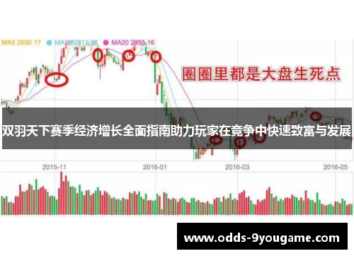 双羽天下赛季经济增长全面指南助力玩家在竞争中快速致富与发展