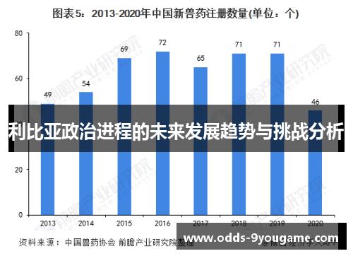 利比亚政治进程的未来发展趋势与挑战分析