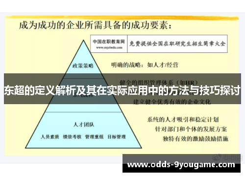 东超的定义解析及其在实际应用中的方法与技巧探讨